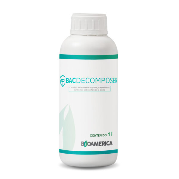 Bac Decomposer
