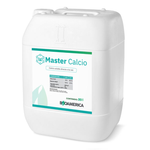Master Calcio