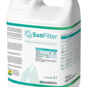 Sun Filter