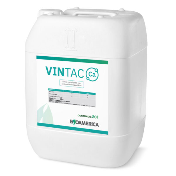 Vintac Calcio