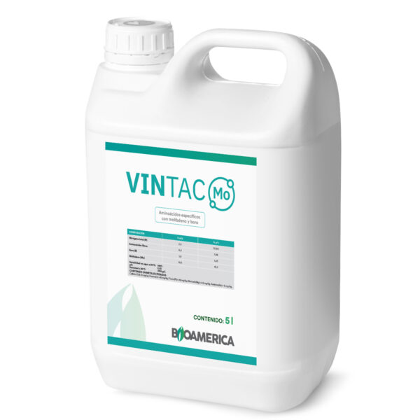 Vintac Molibdeno